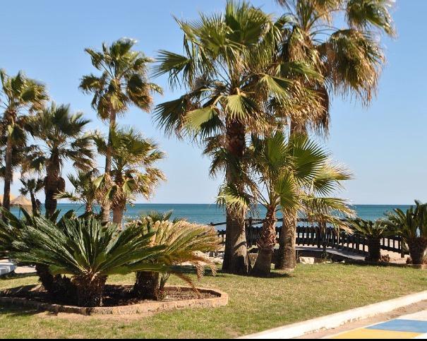 Apartamento Perla Del Sol 1 L Torremolinos Exterior foto